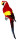 Papagei Tropic sitzend rot 13 x 10 x  H 42cm