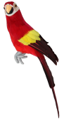 Papagei Tropic sitzend rot 11 x 8 x H 34cm