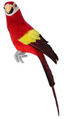 Papagei Tropic sitzend rot 11 x 8 x H 34cm