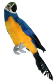 Papagei Tropic sitzend blau 11 x 8 x H 34cm