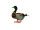 Ente stehend braun-grün H 25 x 35 cm, mit Federn