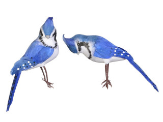 Vogel Exotic stehend 16cm blau-weiss,2 Motive gemischt, Preis pro Stück