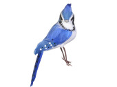 Vogel Exotic stehend 16cm blau-weiss,2 Motive gemischt, Preis pro Stück