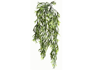 guirlande de fucus vert 63cm