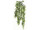 guirlande de fucus vert 63cm