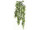 Seetanghänger grün 63cm
