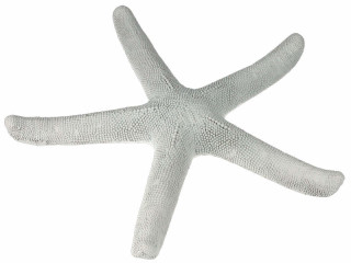 Seestern Polyresin XL weiss, Ø 38cm, 5cm dick
