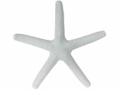 Seestern Polyresin XL weiss, Ø 38cm, 5cm dick