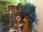 guirlande de fucus bleu/vert 63cm