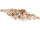 Muscheln echt gemischt im Netz, 700g, 4 - 8cm