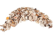 Muscheln echt gemischt im Netz, 2 kg, 4 - 8cm
