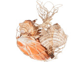 Muscheln gross im Netz 3 St. natur-bunt, 15 - 17cm