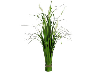 Grasbusch mit Blüten Veronic H 89cm, u. Ø 9cm, o. 40-50cm