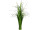 Grasbusch mit Blüten Veronic H 89cm, u. Ø 9cm, o. 40-50cm