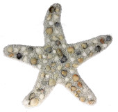 Seestern mit Muscheln klein 20 x 2 x 19cm