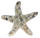 Seestern mit Muscheln klein 20 x 2 x 19cm