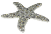 Seestern mit Muscheln gross 30 x 2 x 28cm