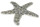 Seestern mit Muscheln gross 30 x 2 x 28cm