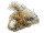 Muscheldeko "Sand" im Netz 20 x 9 x 20cm