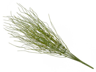 buisson de corail vert 50cm de long Ø50cm, plastique