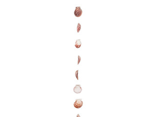 Muschelgirlande Calico Clam natur-rot, L 200cm