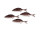 Sardinen grau 4er Set 12 x 4 cm  PVC
