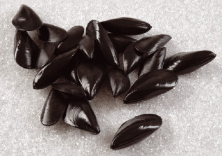 Muscheln schwarz 24er Set 2 Grössen: 9 x 4 x 2,5 cm + 6,5 x 3 x 2 cm  PVC