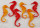 Seepferdchen rot + gelb 20cm 6 Stk./Pack