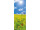 bannière textile prairie de pissenlits "miracle du printems" 75 x 180cm