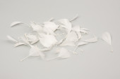 Federn mit Perlen 50 Stück weiss, 6 - 7cm
