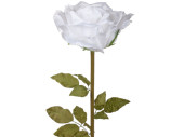 rose XXL, h 115cm, fleur Ø 40cm, blanc