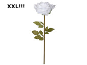 rose XXL, h 115cm, flower Ø 40cm, white