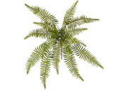 Farnbusch grün Ø 50 x 45cm 15 Blätter,...
