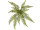 Farnbusch grün Ø 50 x 45cm 15 Blätter, Kunststoff