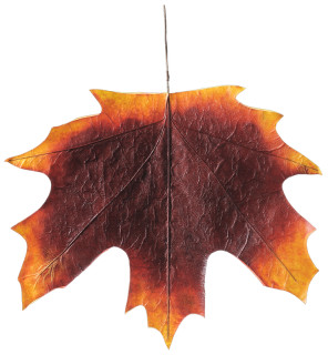 Herbstblatt Papier XXL rot 60 x 60cm