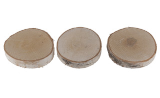 Holz-Baumscheiben Birke rund Ø 8 - 11cm x 2cm, 3 Stück