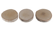 Holz-Baumscheiben Birke rund Ø 8 - 11cm x 2cm, 3...