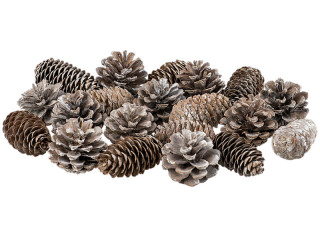 cônes du sapin mélange nature-blanc 5 - 7cm, 20 pcs.