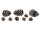 pine cones "snowy" 4 - 12cm, 15 pieces