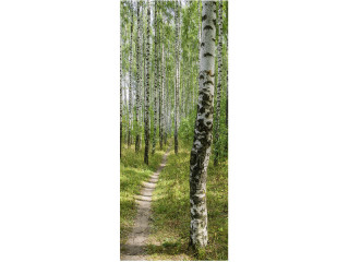 bannière textile forêt de bouleaux/chemin 75 x 180cm
