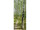 bannière textile forêt de bouleaux/chemin 75 x 180cm