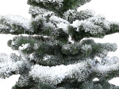 Tanne "Snowy Michigan" 120cm dick beschneit, 328 Spitzen