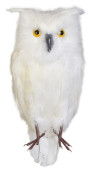 Schnee-Eule stehend weiss 35cm hoch x 15 x11cm...