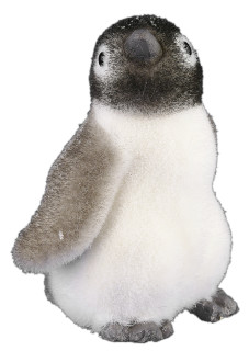 Pinguin "Polar" H 22cm 16 x 14cm, weiss-grau