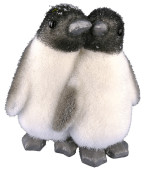 Pinguin-Paar Polar H 22cm 21 x 15cm, weiss-grau 