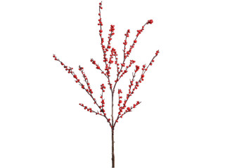 Beerenzweig rot-braun 100cm