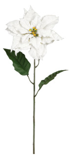 Poinsettiablüte am Stiel weiss 75cm hoch x Ø 23cm