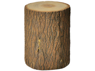 Baumstamm Highland Ø15x20cm braun, PVC