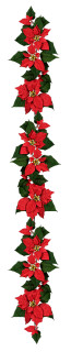 Poinsettiagirlande rot 180cm lang mit 12 Blüten