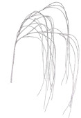Zweig Willow Sur silber mit Glitter, 125cm